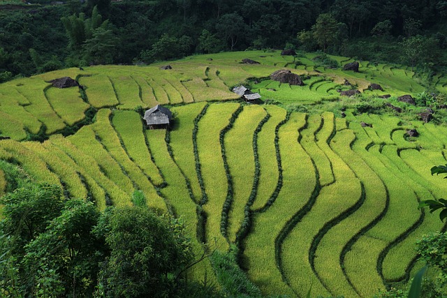 Länder mit V: Vietnam