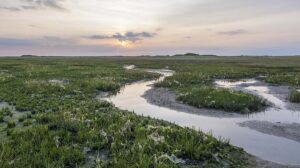 Region mit W: die Westfriesischen Inseln (hier: Schiermonnikoog)