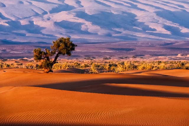 Land mit M: Bild von Marokko